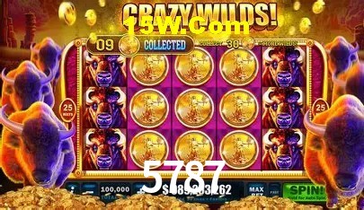 5787 Brasília - Betting Features